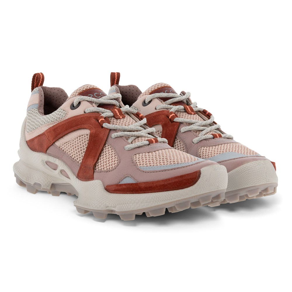 ECCO Womens Hiking Shoes Multicolor - Biom C-Trail Low - GOU-301897